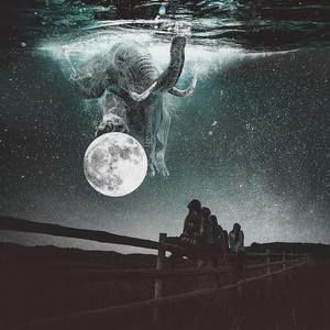 Meet your Posher, Billy